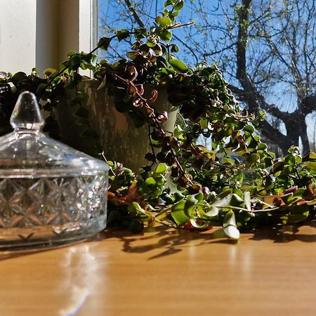 Whispering O - B&B Ermelo Speuld On The Veluwe 외부 사진