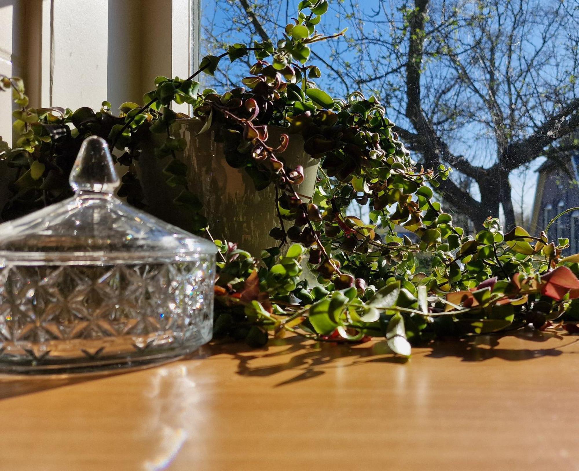 Whispering O - B&B Ermelo Speuld On The Veluwe 외부 사진